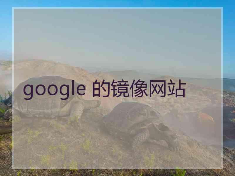 google 的镜像网站