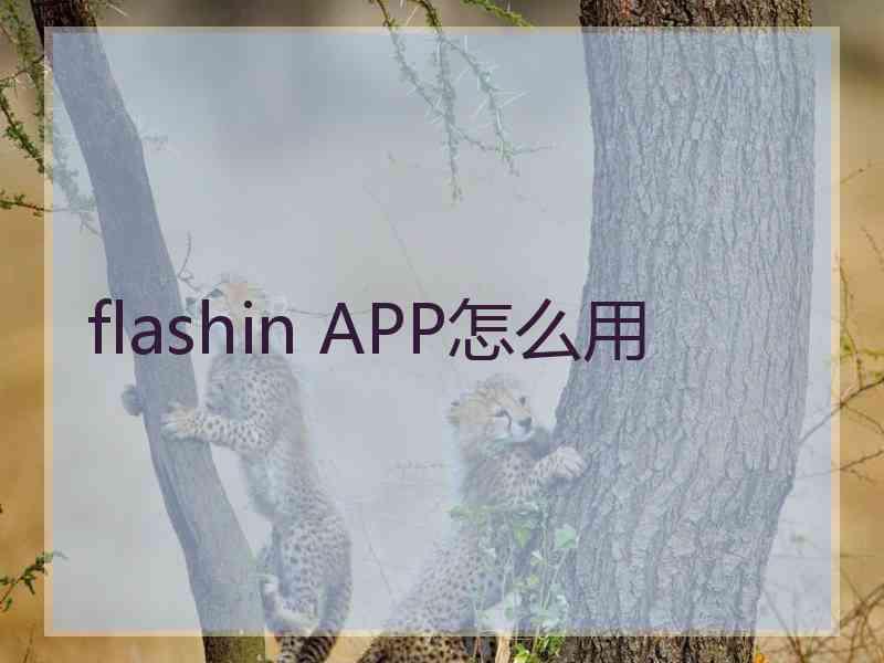 flashin APP怎么用