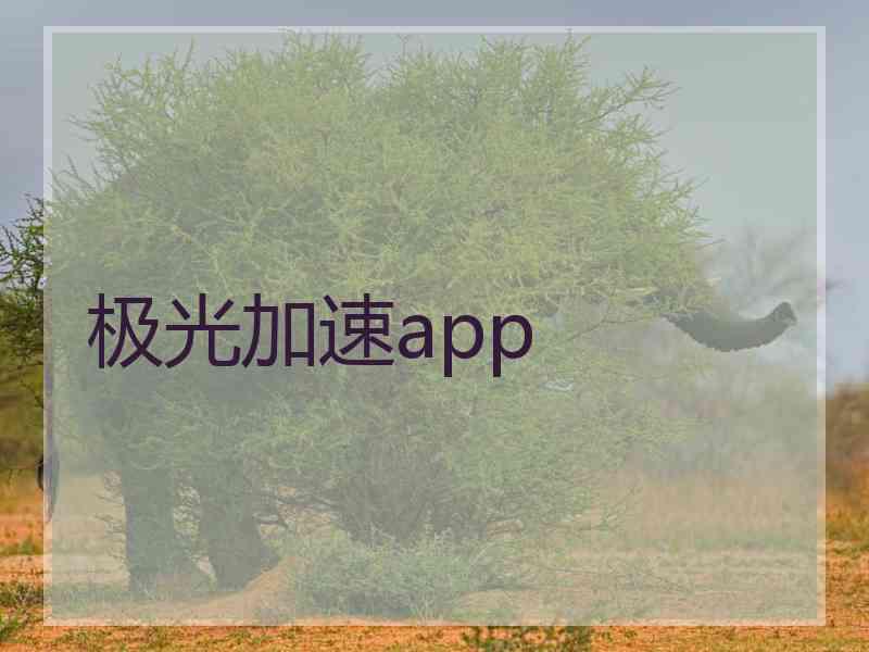 极光加速app