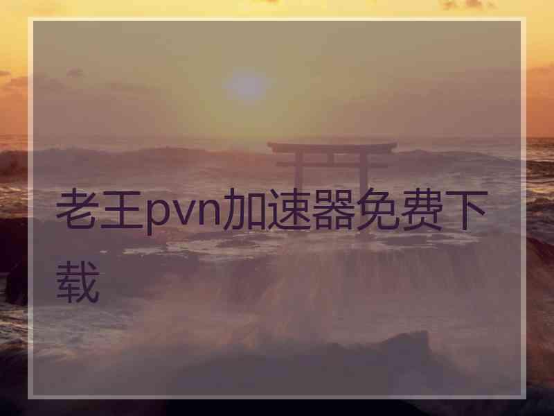 老王pvn加速器免费下载