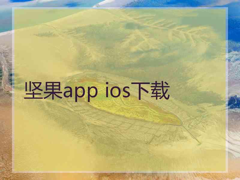 坚果app ios下载