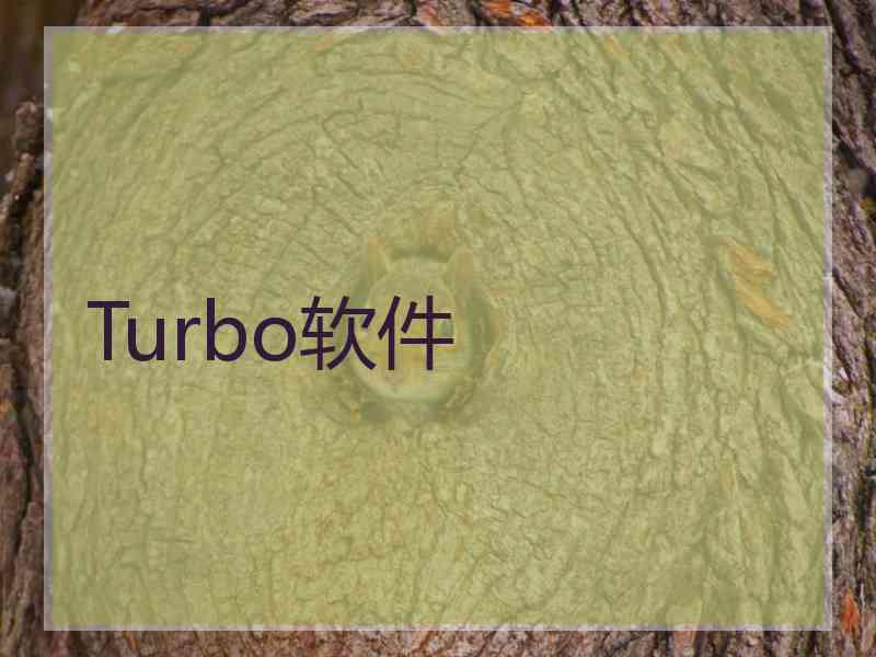 Turbo软件