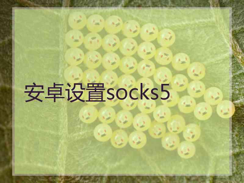 安卓设置socks5