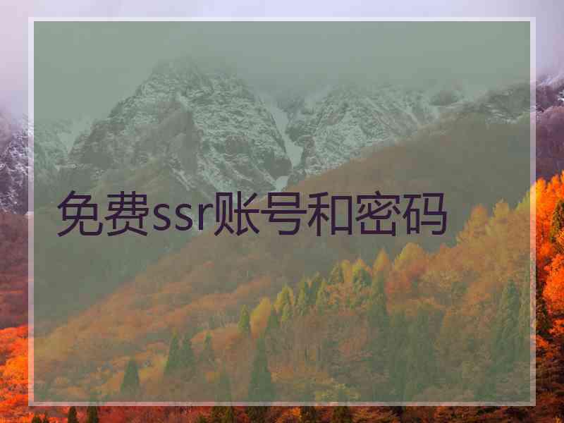 免费ssr账号和密码