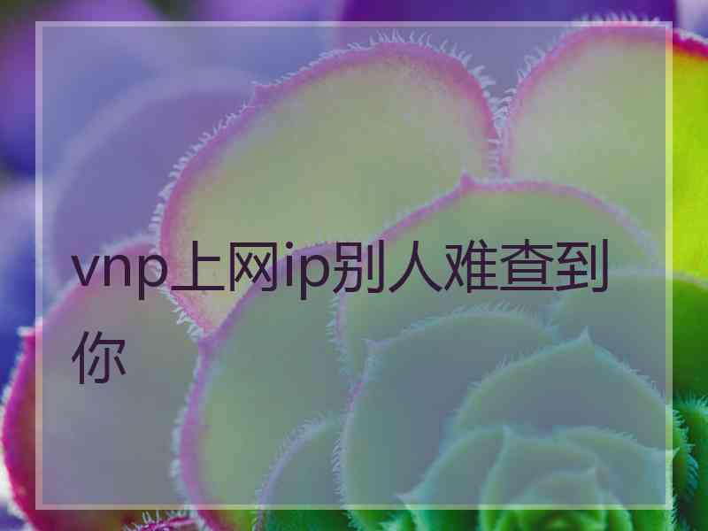 vnp上网ip别人难查到你