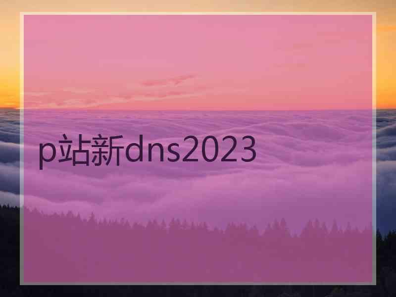 p站新dns2023