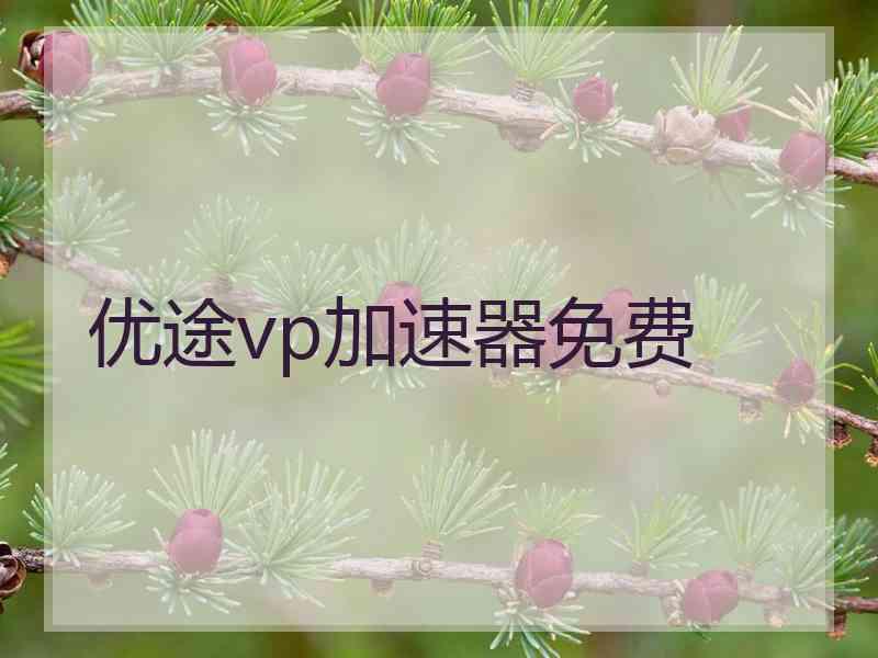 优途vp加速器免费