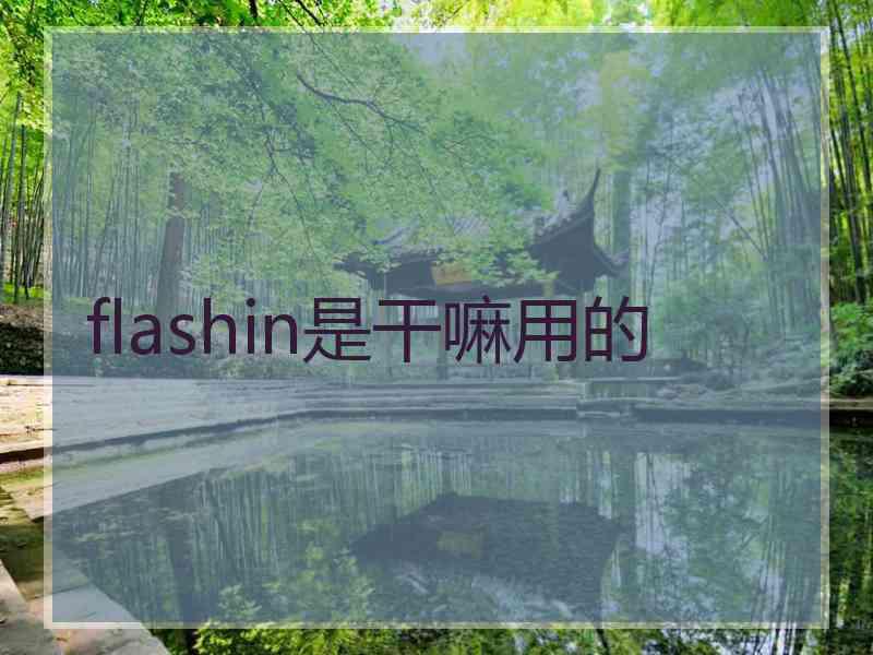 flashin是干嘛用的