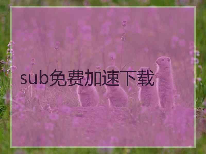 sub免费加速下载